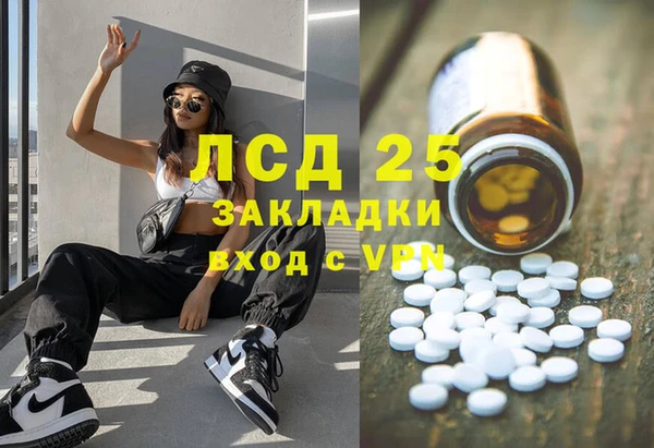 PSILOCYBIN Алзамай