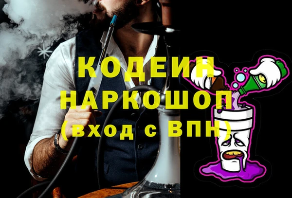 PSILOCYBIN Алзамай
