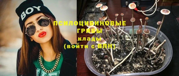 apvp Алексеевка