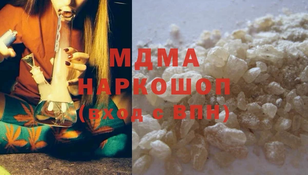 PSILOCYBIN Алзамай
