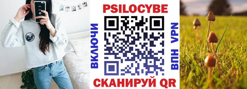 Псилоцибиновые грибы Psilocybine cubensis Буй